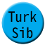 Line turkestan_siberia_uz Icon